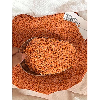 Đậu lăng xanh/đỏ nguyên hạt