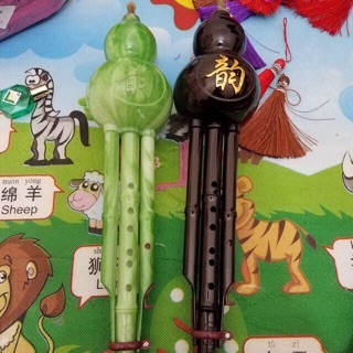 Bộ sáo bầu, hộp đựng (Free ship)
