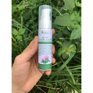 TINH CHẤT CỎ BA LÁ ĐỎ [Sản phẩm thiên nhiên an toàn mẹ bầu, mẹ bìm] se khít lỗ chân lông và kiềm dầu 80% sau 1 tuần