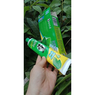 KEM ĐÁNH RĂNG DARIE THÁI (ông tây đen)
