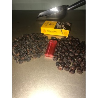 Hạt dổi nếp 100g loại 1(500 hạt) ( tặng hạt mắc khén )