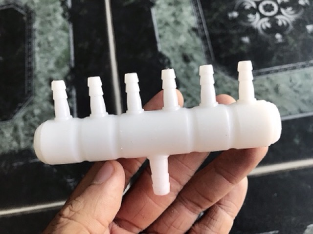 THANH CHIA 6 ĐẦU OXY HỒ CÁ NON BỘ