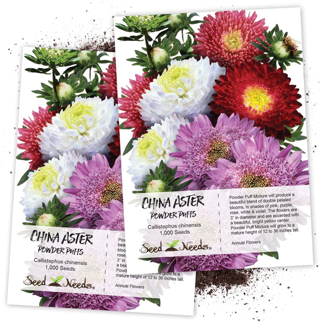 HẠT GIỐNG HOA CÚC ĐÀI LOAN Hạt giống Nhu cầu, Bột Puff China Aster (Callistephus chinensis) Gói hạt Mỗi loại