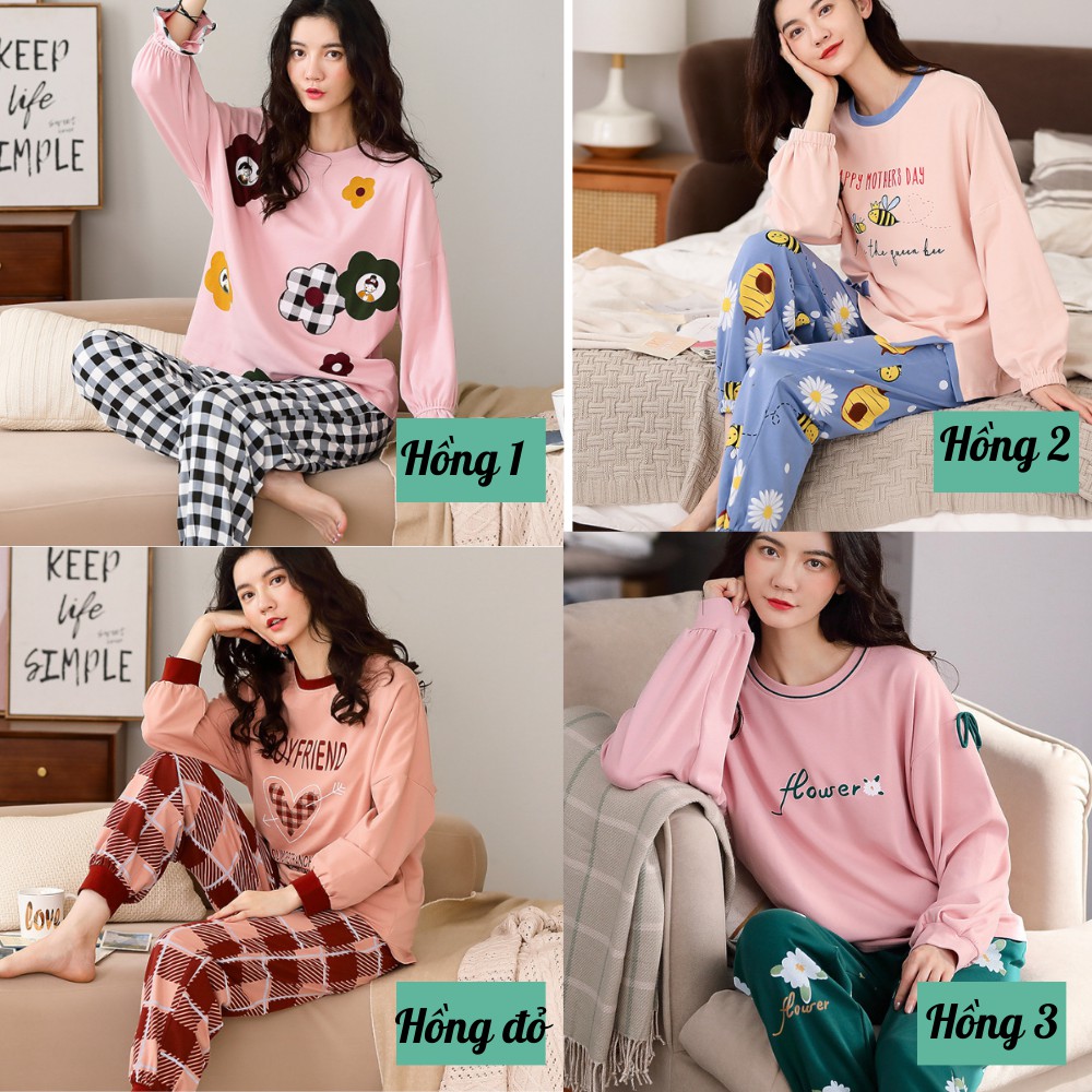 [Hàng loại 1] Bộ mặc nhà nữ cotton cao cấp dài tay (ảnh + Video thật) | BigBuy360 - bigbuy360.vn