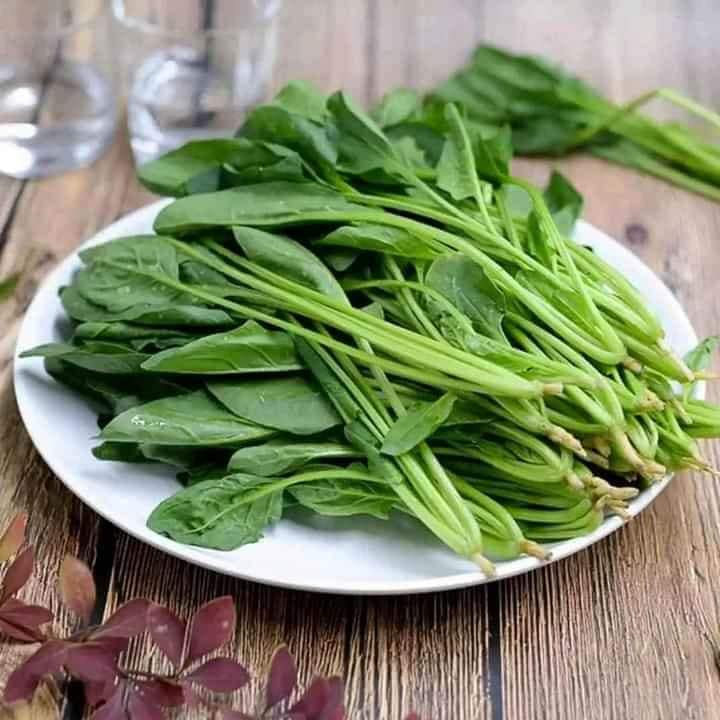 Hạt Giống Rau Cải Bó Xôi Chịu Nhiệt - Rau Chân Vịt, Rau| Gói 20g