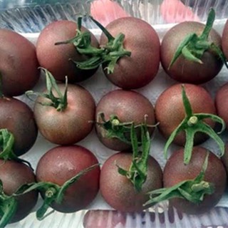 hạt giống cà chua socola gói 30 hạt