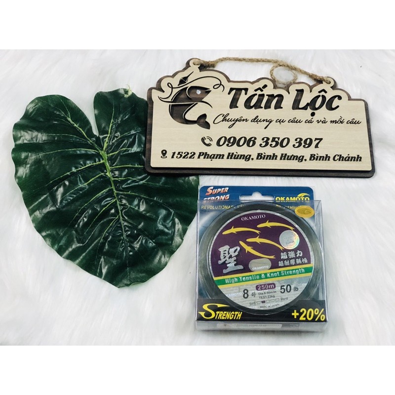 CƯỚC CÂU CÁ OKAMOTO 4 CON CÁ