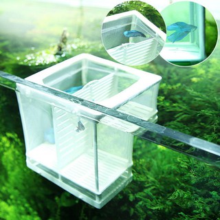Lồng Ấp Trứng Cá 2 Tầng Linh Hoạt