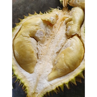 Sầu riêng Thái monthong