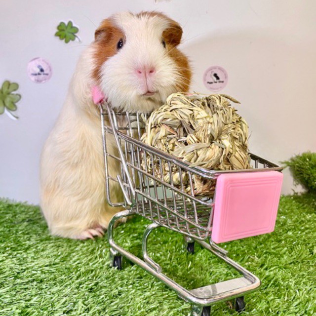 [ Hàng Hot ] Cuộn cỏ khô mài răng cho Guinea Pig (bọ ú, chuột lang), thỏ, chinchilla