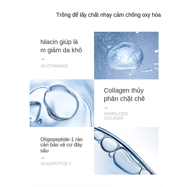 (Hàng Mới Về) Tinh Chất Niacinamide Mazo Dưỡng Ẩm Làm Trắng Và Chống Lão Hóa Cho Nam Nữ | BigBuy360 - bigbuy360.vn