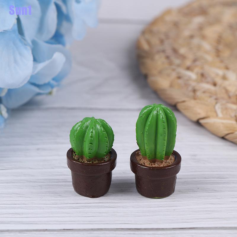 Bộ 5 Cây Xương Rồng mini Trang Trí Nhà Búp Bê