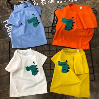 Combo 10 áo khủng long siêu xinh