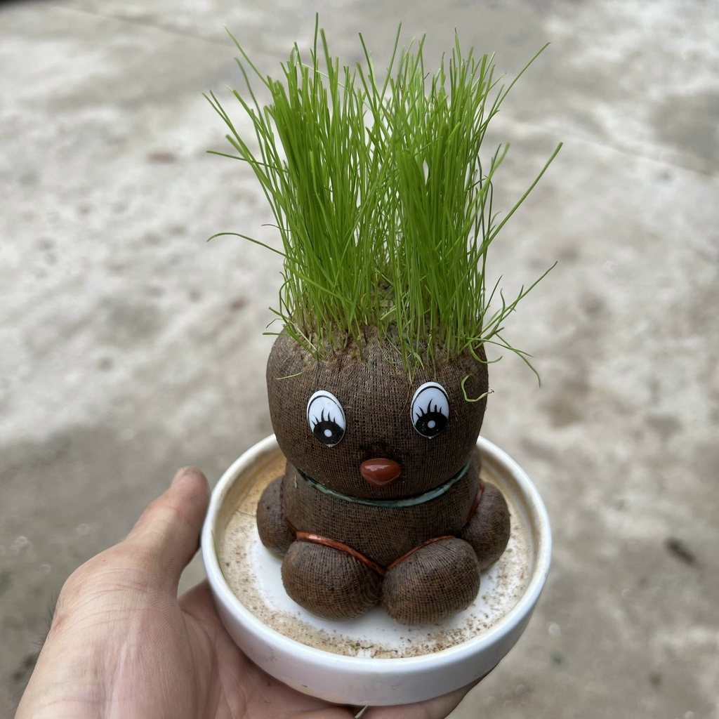 Búp bê rơm sáng tạo kiểu tóc, cây cảnh để bàn trang trí nội thất và bàn làm việc