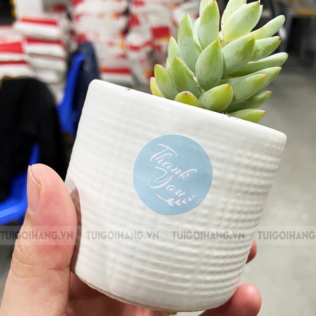 Tem Sticker Thank You Tem Cảm Ơn In Màu In Sẵn Tự Dính Cuộn 500 Tem