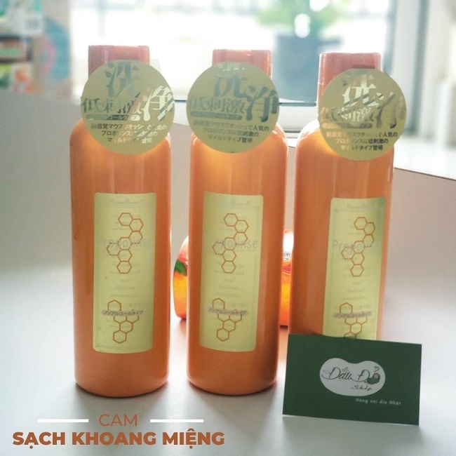 [FREESHIP - NHIỀU MÙI] nước súc miệng Propolinse 600ml - sạch khuẩn, trắng răng, bong mảng bám - hàng nội địa Nhật