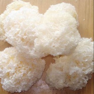 [FREESHIP 99K TOÀN QUỐC]Nấm tuyết (ngân nhĩ) 1kg