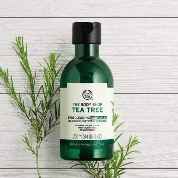 🍋 Sữa Tắm Tea Tree The Body Shop 250ml Hàng Chuẩn Công Ty 🍋