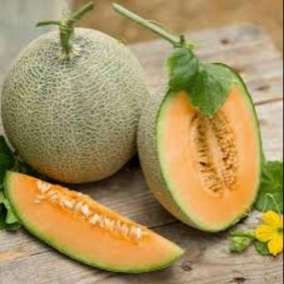 100 hạt giống dưa lưới xanh