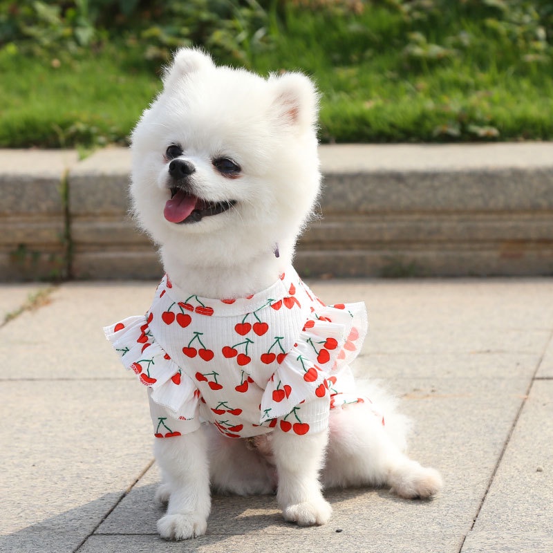 Áo Mềm Mại In Họa Tiết Cherry Thời Trang Xuân Hè Dành Cho Cún Cưng 27 Tuổi