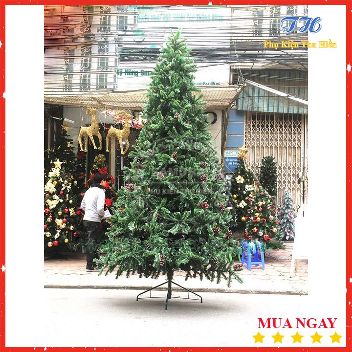 HỎA TỐC HCM Cây Thông Noel 3 Loại Lá Gắn Trái Thông 2m1, 2m4, 3m  Trang Trí Giáng Sinh