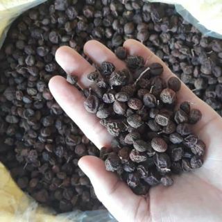200g.Hạt móc mật khô (mắc mật) gia vị tây bắc