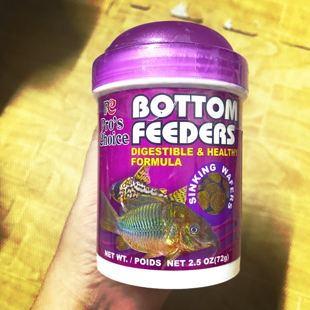 CÁM CÁ ĂN ĐÁY BOTTOM 72gr ( viên chìm 1cm)