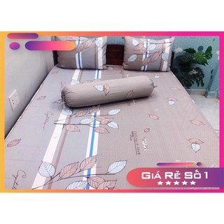 GA THUN HÀN QUỐC MẪU MỚI