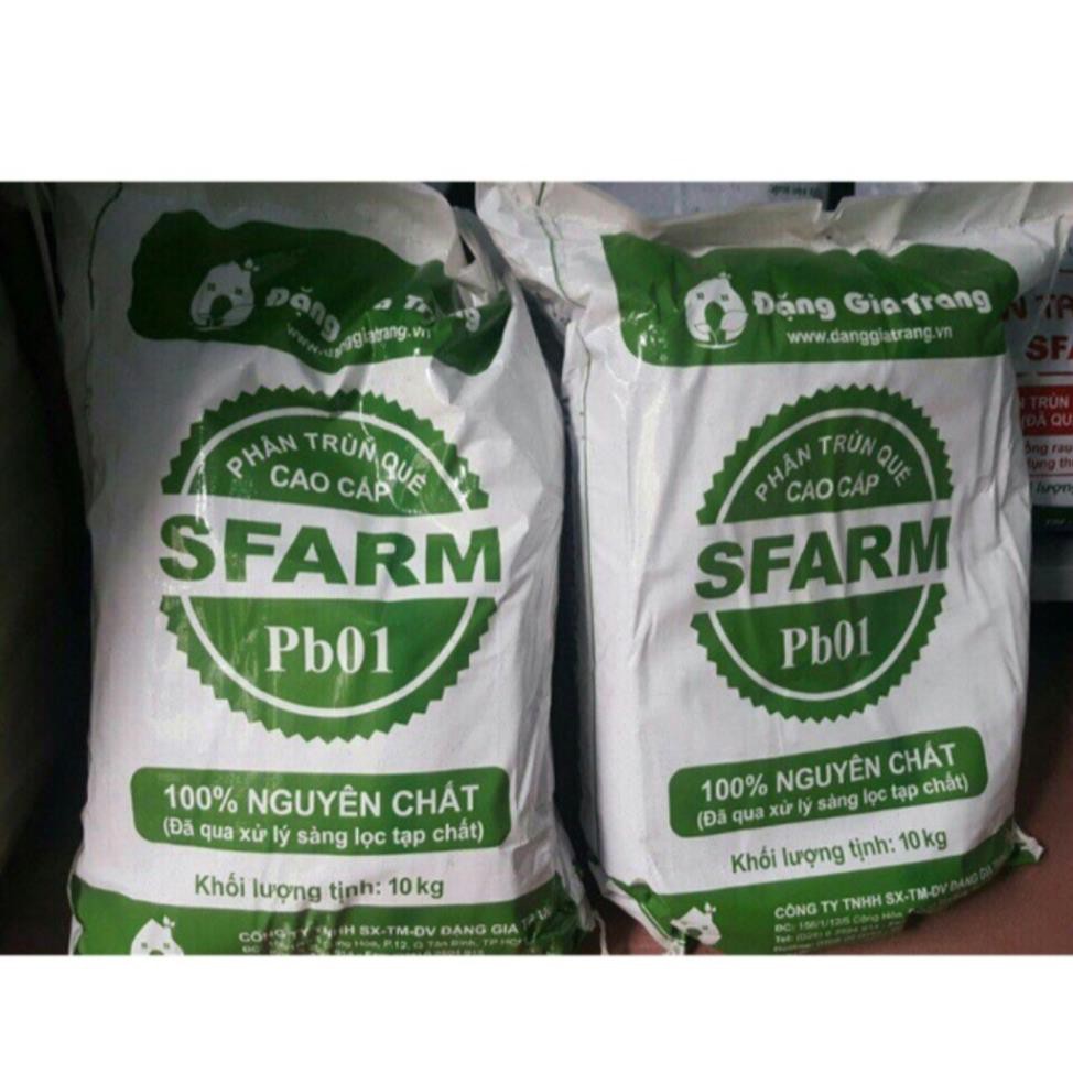 Phân trùn quế Đặng Gia Trang 10kg