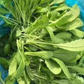20gram HẠT GIỐNG CẢI XANH ĂN NON