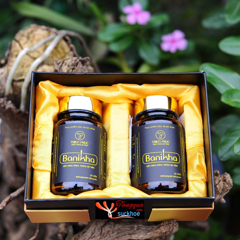 [Chính hãng] Viên nang Đông trùng hạ thảo Banikha Thiên Phúc 2 lọ ( 60 viên) | BigBuy360 - bigbuy360.vn