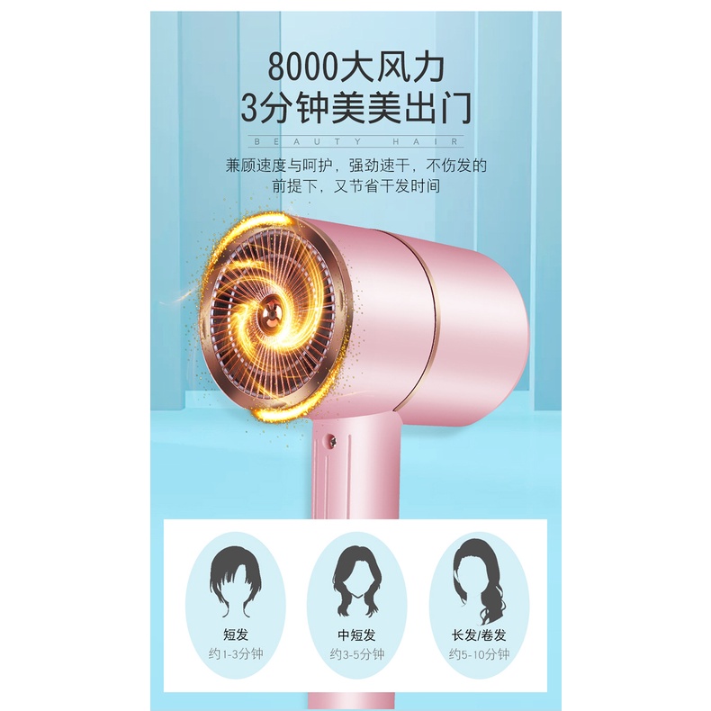 Máy sấy tóc ion âm chuyên dụng dành cho salon 220V