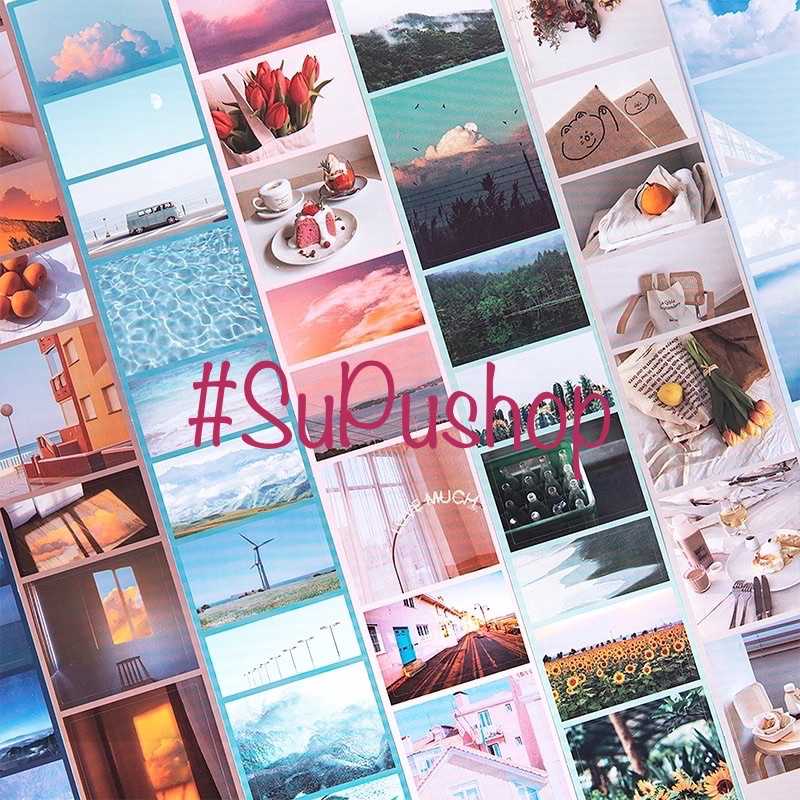 🍁🍁STICKER DÂY PHONG CẢNH SIU CHILL🍁🍁