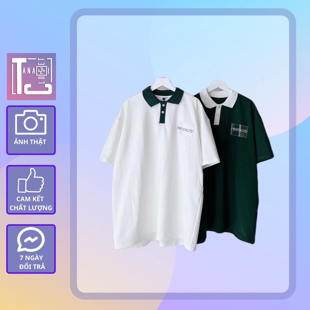 Áo thun polo sọc chữ thêu Why Not  Tanazi Closet