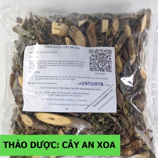 [Ảnh Thật] Cây An Xoa Thuốc Nam