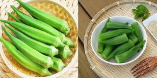 Hạt giống đậu bắp trắng - 20 gram