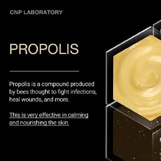 Tinh Chất Keo Ong Cnp Laboratory 15ml