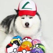 xudapet