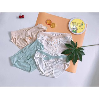 Set 4 quần lót bầu