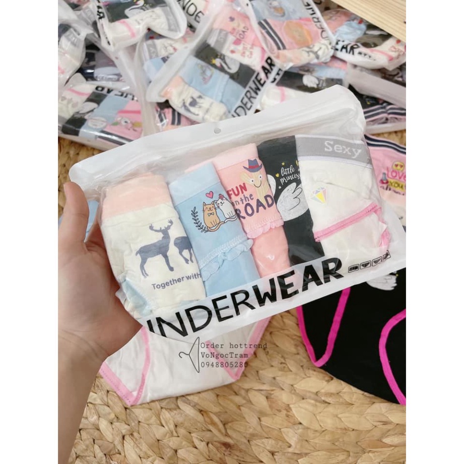 Set 5 quần chip nữ hình ngộ nghĩnh - Quần lót nữ hình siêu cute, chất hàn mền mát, túi zip, gửi set ngẫu nhiên