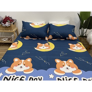 Ga trải giường bo chun bọc đệm[1m6x2m,1m8x2m]MẪU TRĂNG VÀNG