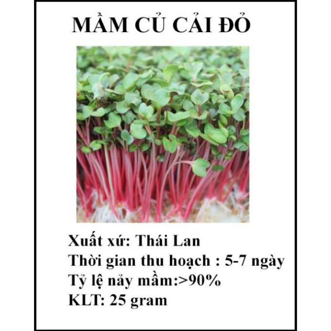 25 gram hạt giống mầm củ cải đỏ