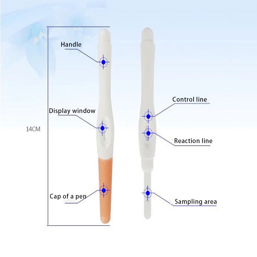Bút thử thai ở giai đoạn đầu tiện sử dụng