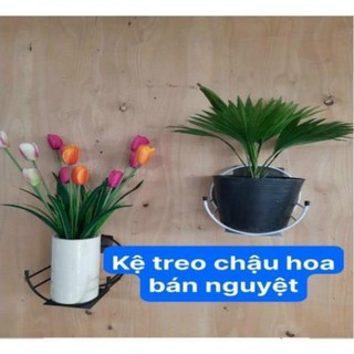 (TẶNG KÈM MIẾNG DÍNH ĐÔI) Giỏ treo chậu hoa bán nguyệt dán tường