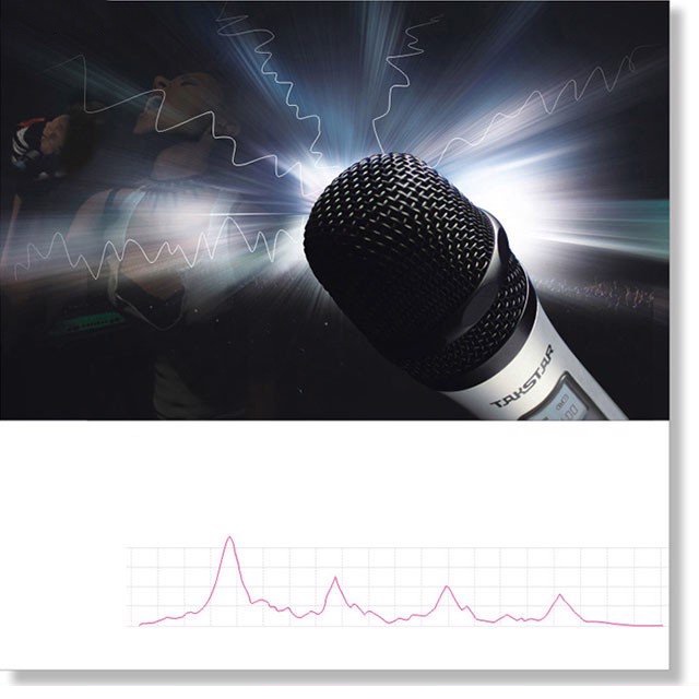 [Mã ELHACE giảm 4% đơn 300K] Micro Không Dây Cho Phòng Hát Karaoke Takstar X6 UHF