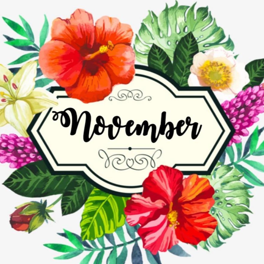 NOVEMBER STORE