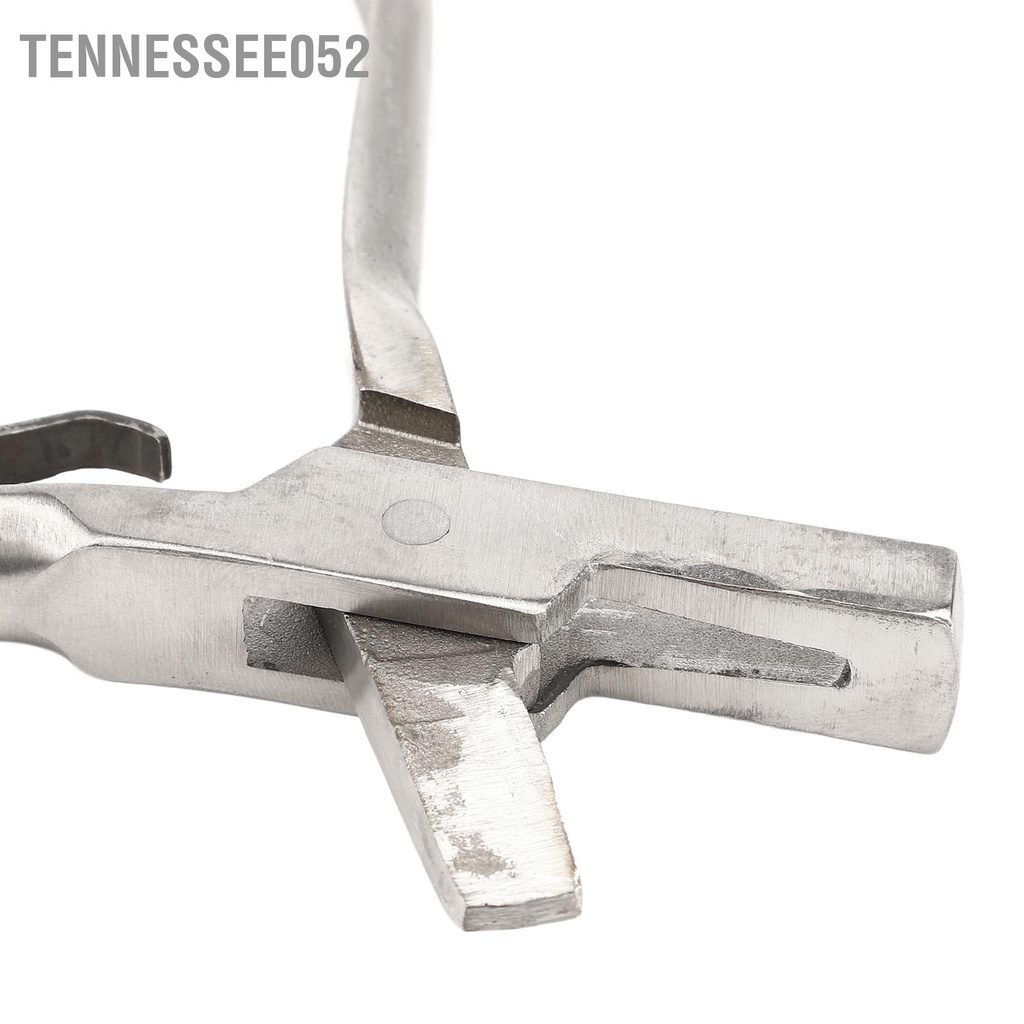 Tennessee052 Thẻ đeo thẻ tai lợn Kìm bấm lỗ động vật bằng thép không gỉ với khóa an toàn để nhận dạng dê cừu gia súc