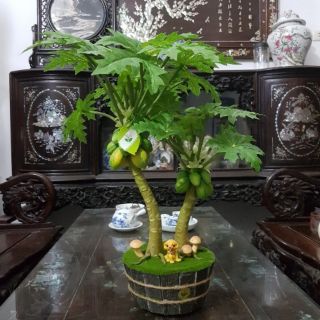 Cây giả đu đủ mini đôi để bàn trang trí