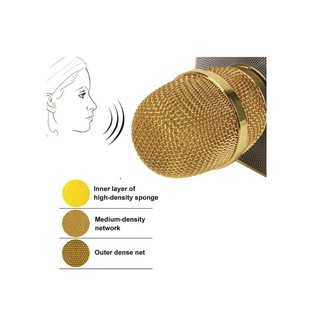 Micro Karaoke Tích Hợp Loa Bluetooth Q7