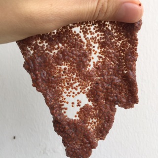 Hạt ngũ hoa handmade 100gr loại 1